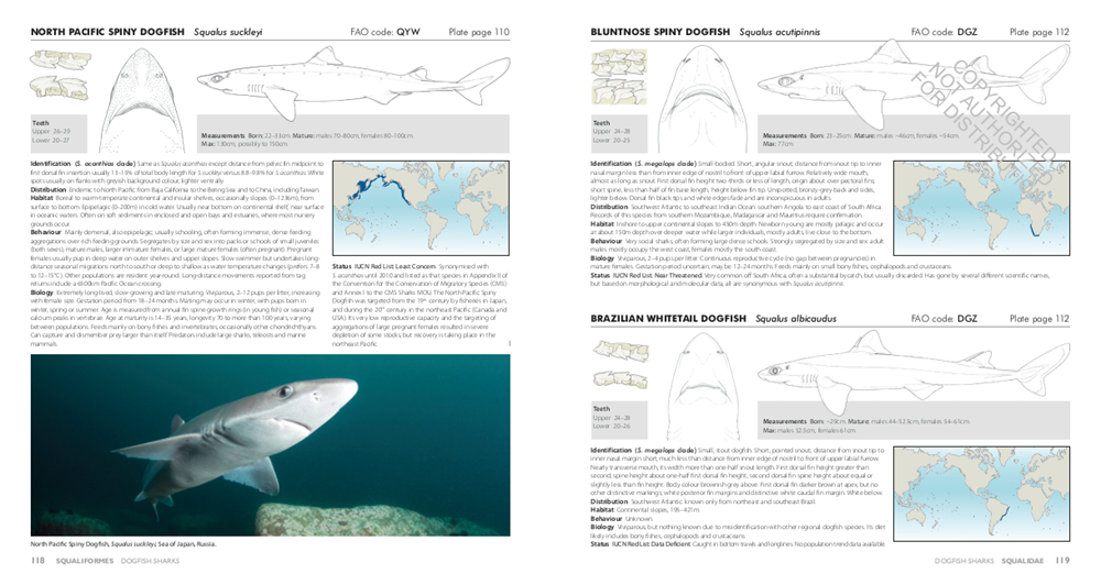 Sharks of the World