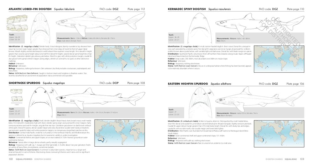 Sharks of the World