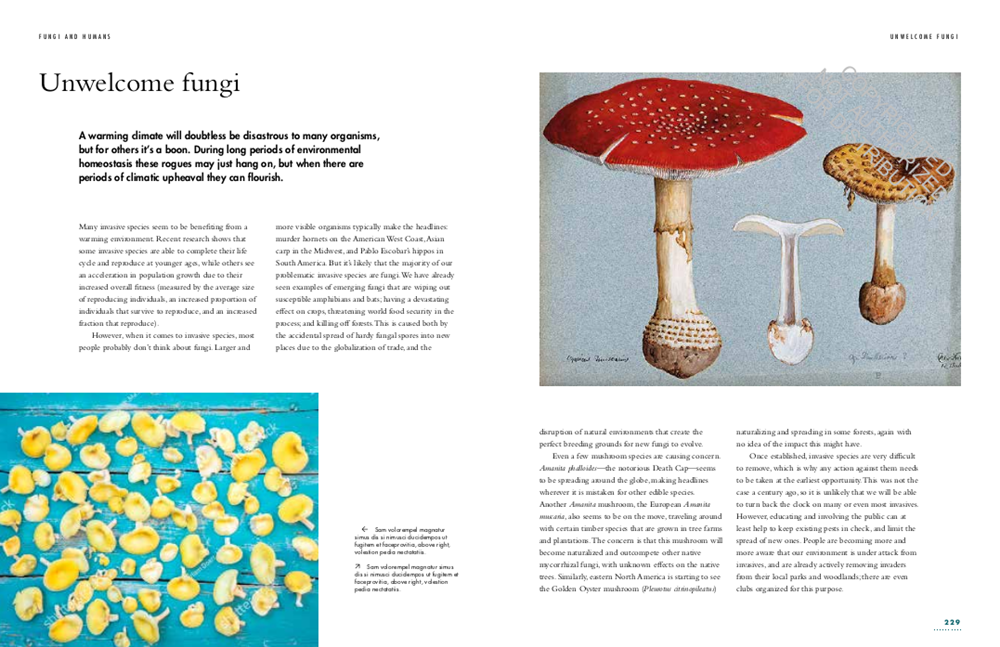 The Lives of Fungi