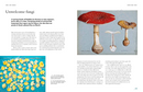 The Lives of Fungi