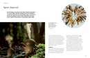 The Lives of Fungi