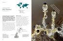 The Lives of Fungi