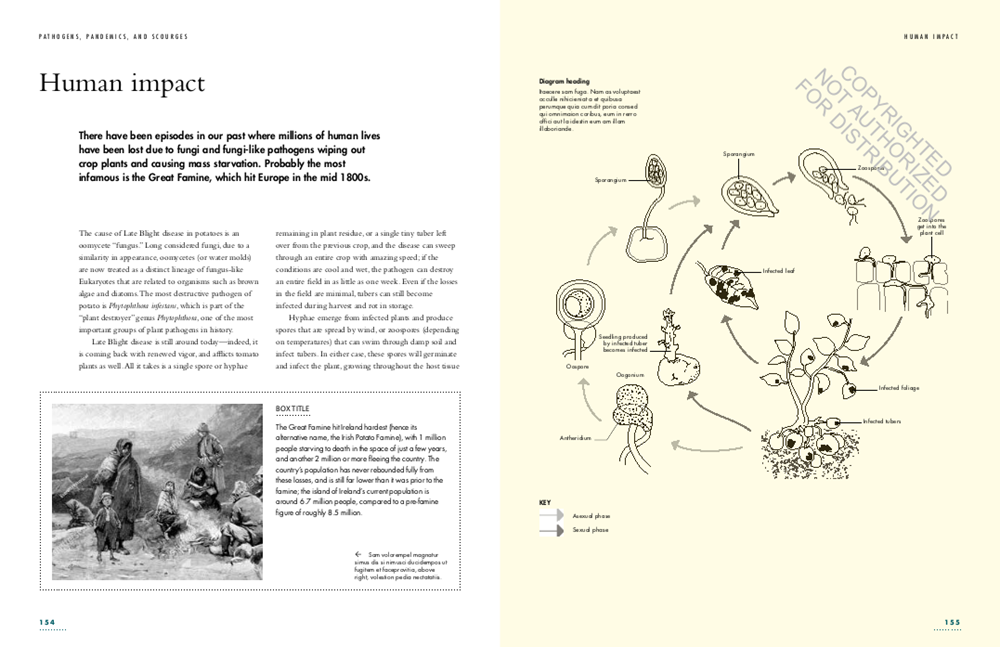 The Lives of Fungi