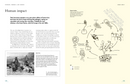 The Lives of Fungi