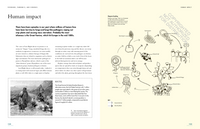 The Lives of Fungi