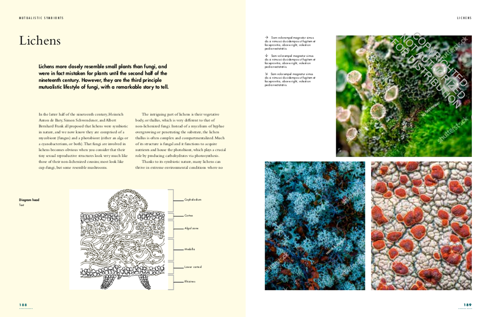 The Lives of Fungi