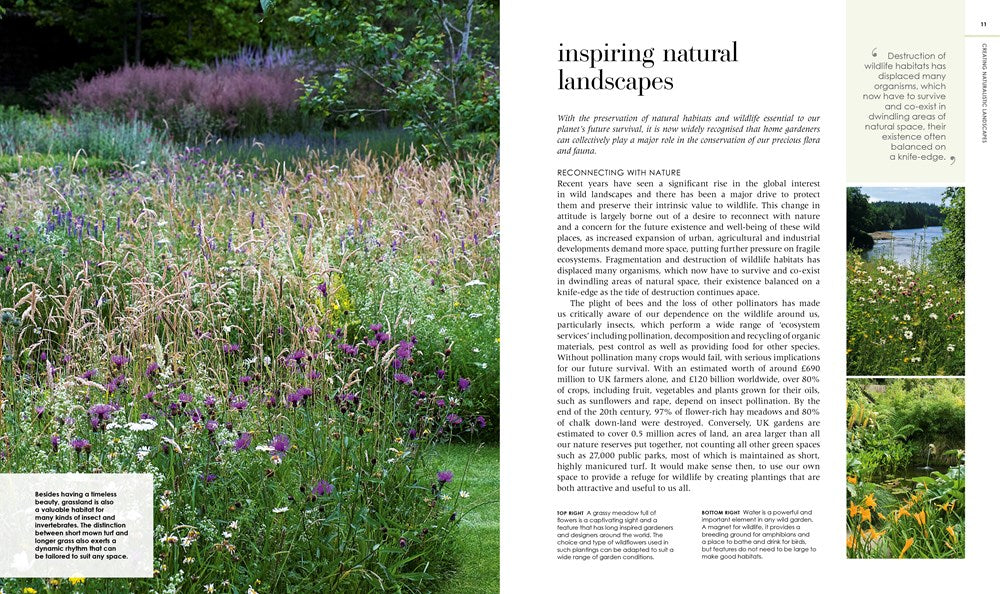 New Wild Garden