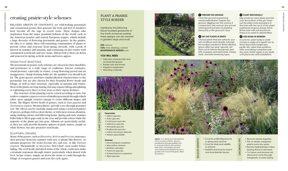 New Wild Garden
