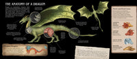 A Natural History of Dragons (Folklore Field Guides)