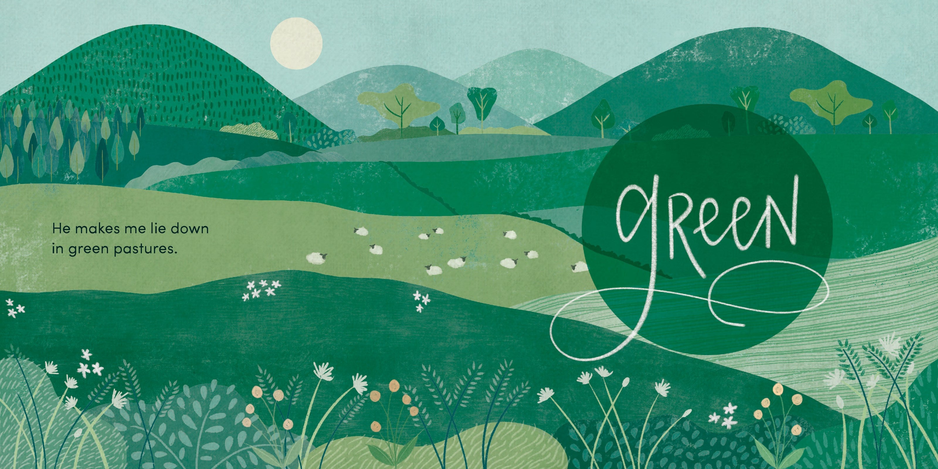 Psalm 23: A Colors Primer (Baby Believer)