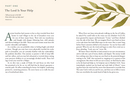 Lift Your Eyes: Daily Invitations to Behold Christ in Motherhood