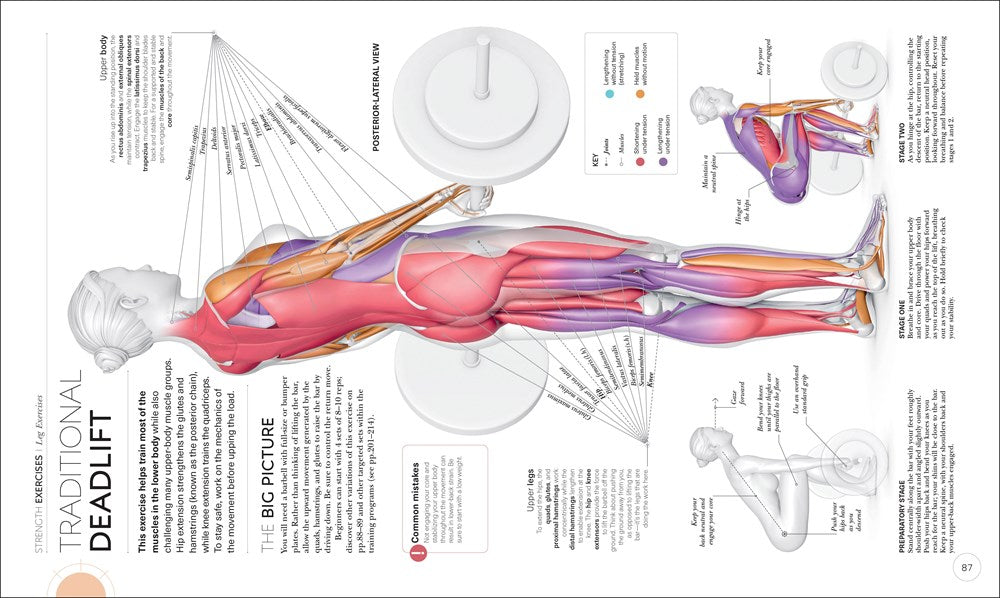 Science of Strength Training: Understand the anatomy and physiology to transform your body (The Science of Fitness)