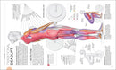 Science of Strength Training: Understand the anatomy and physiology to transform your body (The Science of Fitness)