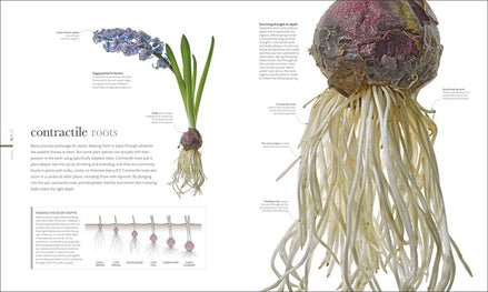 The Science of Plants: Inside Their Secret World (DK Secret World Encyclopedias)