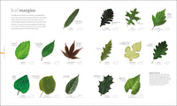 The Science of Plants: Inside Their Secret World (DK Secret World Encyclopedias)