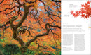 The Science of Plants: Inside Their Secret World (DK Secret World Encyclopedias)