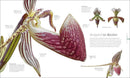 The Science of Plants: Inside Their Secret World (DK Secret World Encyclopedias)