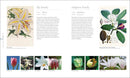 The Science of Plants: Inside Their Secret World (DK Secret World Encyclopedias)