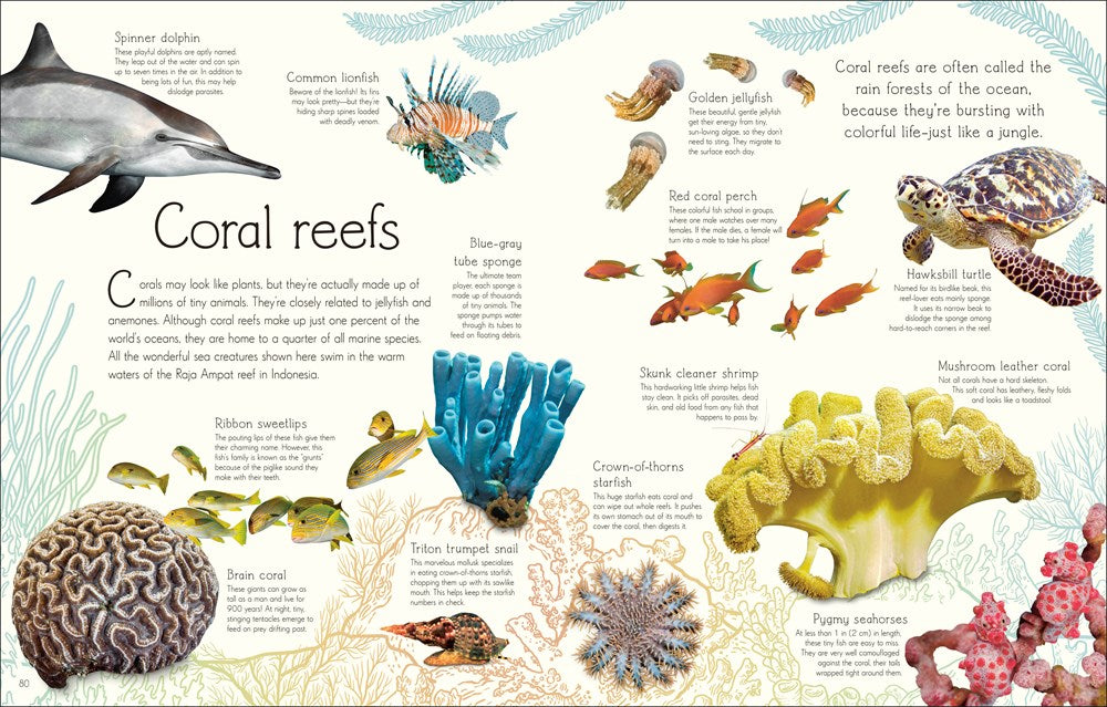 An Anthology of Aquatic Life (DK Children's Anthologies)