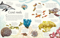 An Anthology of Aquatic Life (DK Children's Anthologies)