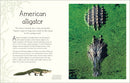 An Anthology of Aquatic Life (DK Children's Anthologies)