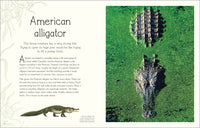 An Anthology of Aquatic Life (DK Children's Anthologies)