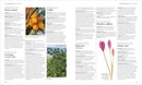 Encyclopedia of Herbal Medicine New Edition: 560 Herbs and Remedies for Common Ailments