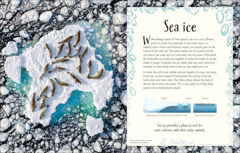 An Anthology of Our Extraordinary Earth (DK Children's Anthologies)