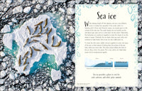 An Anthology of Our Extraordinary Earth (DK Children's Anthologies)