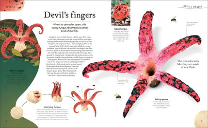 Weird and Wonderful Nature: Tales of More Than 100 Unique Animals, Plants, and Phenomena (DK Treasures)