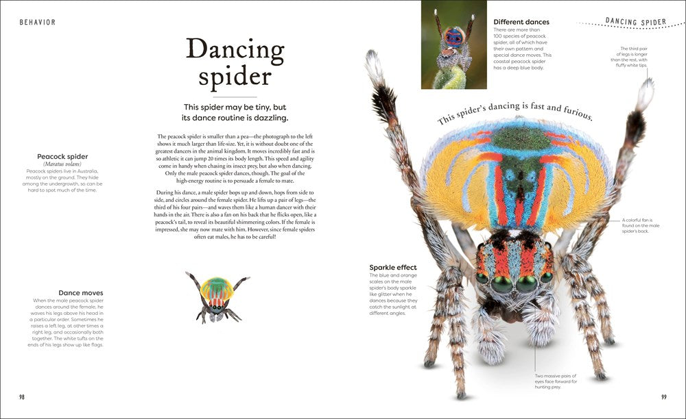 Weird and Wonderful Nature: Tales of More Than 100 Unique Animals, Plants, and Phenomena (DK Treasures)