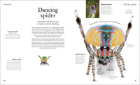 Weird and Wonderful Nature: Tales of More Than 100 Unique Animals, Plants, and Phenomena (DK Treasures)