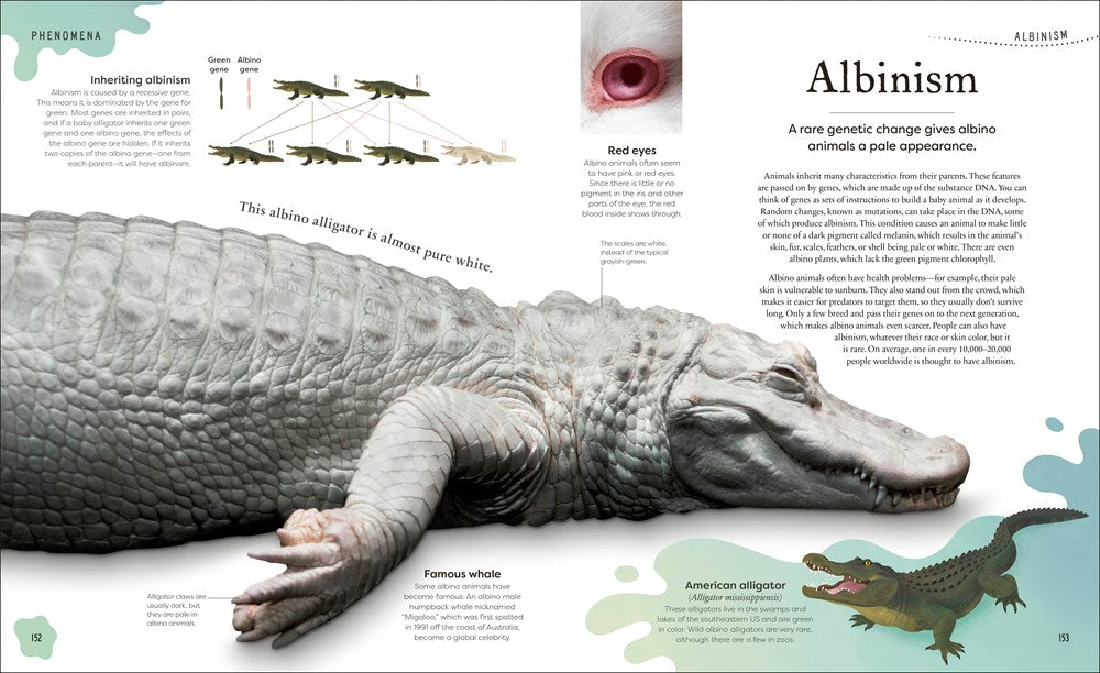 Weird and Wonderful Nature: Tales of More Than 100 Unique Animals, Plants, and Phenomena (DK Treasures)