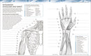 The Human Body Coloring Book: The Ultimate Anatomy Study Guide, Second Edition (DK Human Body Guides)