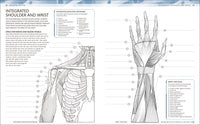 The Human Body Coloring Book: The Ultimate Anatomy Study Guide, Second Edition (DK Human Body Guides)