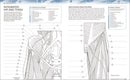 The Human Body Coloring Book: The Ultimate Anatomy Study Guide, Second Edition (DK Human Body Guides)