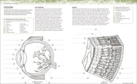 The Human Body Coloring Book: The Ultimate Anatomy Study Guide, Second Edition (DK Human Body Guides)
