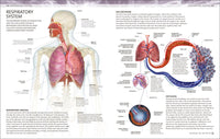 The Human Body Coloring Book: The Ultimate Anatomy Study Guide, Second Edition (DK Human Body Guides)