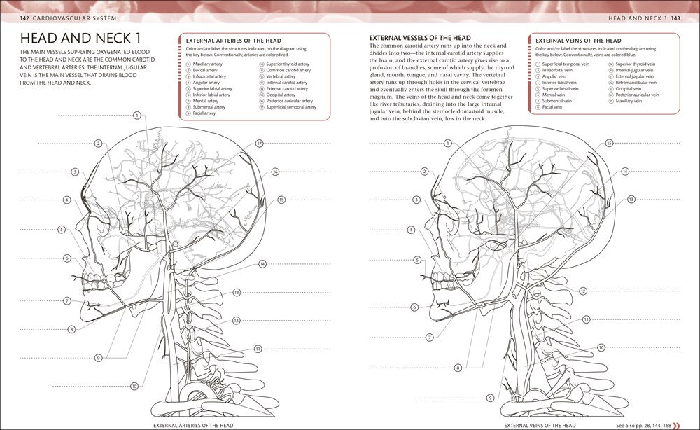 The Human Body Coloring Book: The Ultimate Anatomy Study Guide, Second Edition (DK Human Body Guides)