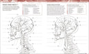 The Human Body Coloring Book: The Ultimate Anatomy Study Guide, Second Edition (DK Human Body Guides)