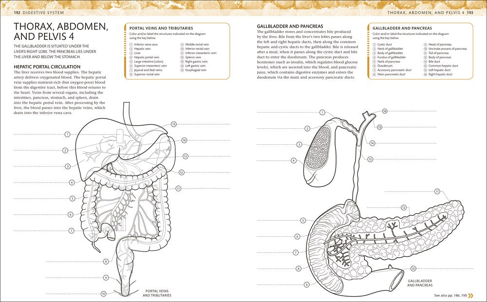 The Human Body Coloring Book: The Ultimate Anatomy Study Guide, Second Edition (DK Human Body Guides)