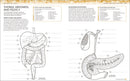 The Human Body Coloring Book: The Ultimate Anatomy Study Guide, Second Edition (DK Human Body Guides)