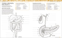 The Human Body Coloring Book: The Ultimate Anatomy Study Guide, Second Edition (DK Human Body Guides)