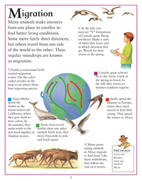 My First Encyclopedia of Animals