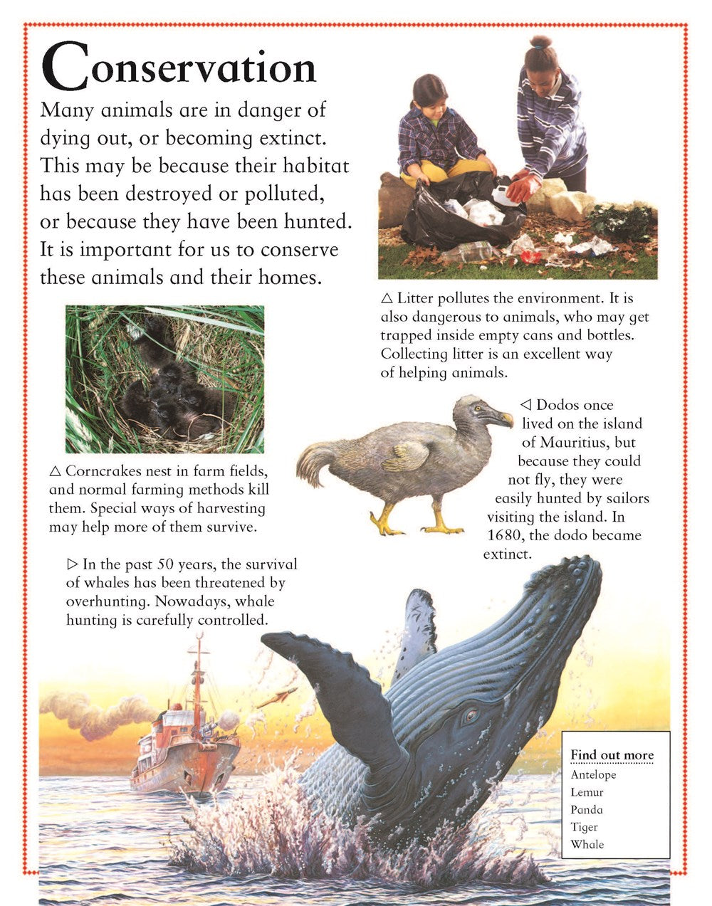 My First Encyclopedia of Animals