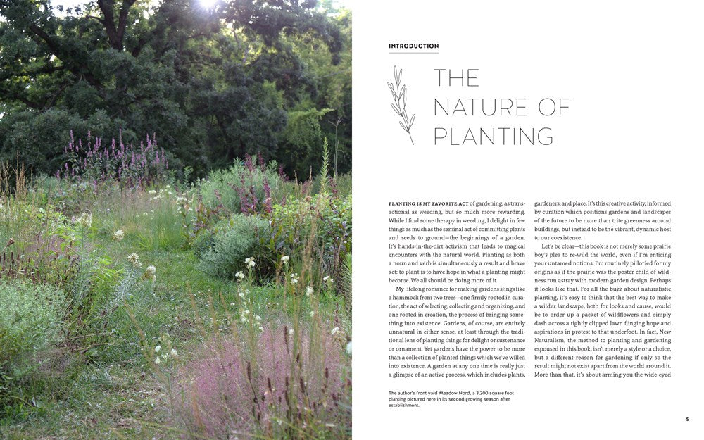 New Naturalism