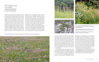 New Naturalism