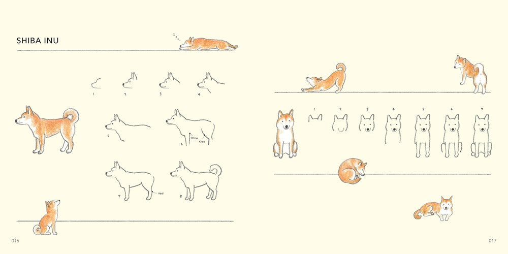 Drawing Lessons for Beginners: Cute Animals