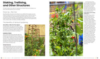 The First-Time Gardener: Raised Bed Gardening