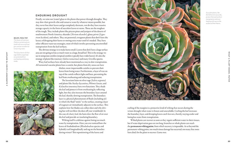 A Gardener's Guide to Botany